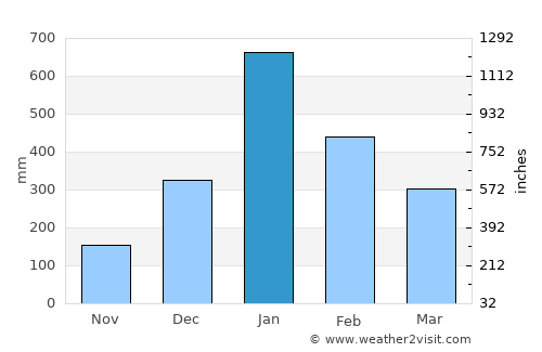 Batang average rain in January
