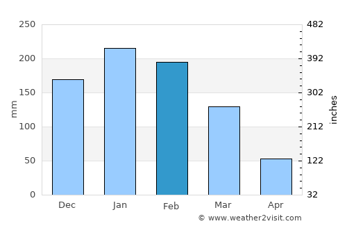 Bauru average rain in February