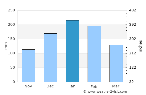 Bauru average rain in January