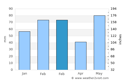 Bayshore Gardens average rain in February