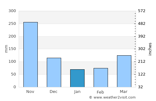 Bedong average rain in January