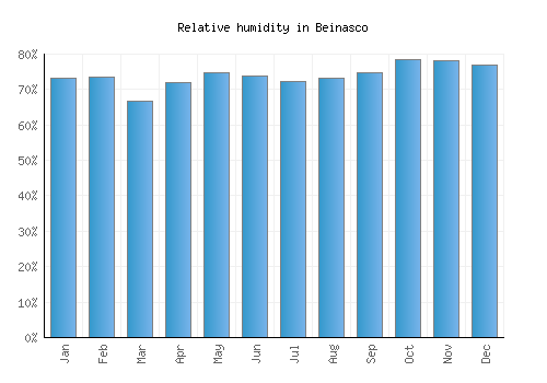 Beinasco relative humidity averages