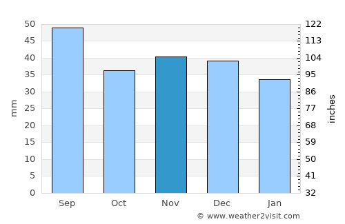 Bełchatów average rain in November