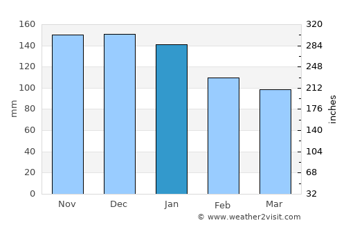 Bellingham average rain in January