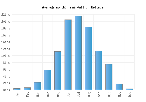 Belonia monthly rainfall chart (inches)