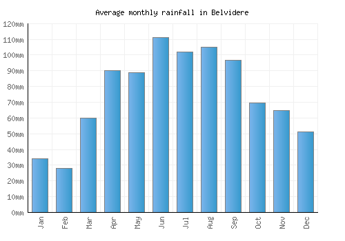 Belvidere monthly rainfall chart (mm)