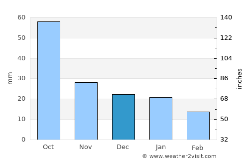 Bemidji average rain in December