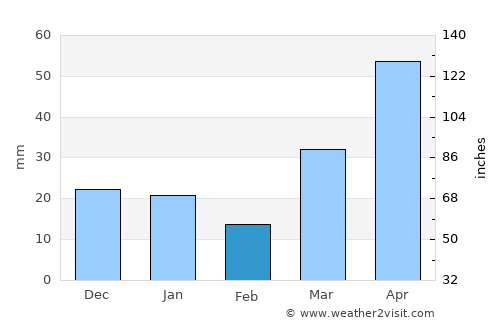 Bemidji average rain in February