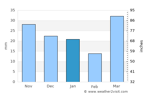 Bemidji average rain in January