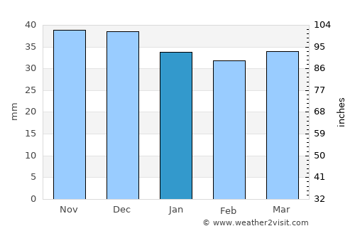 Bendigo average rain in January