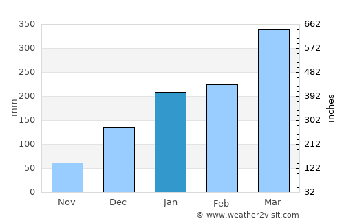 Beneditinos average rain in January