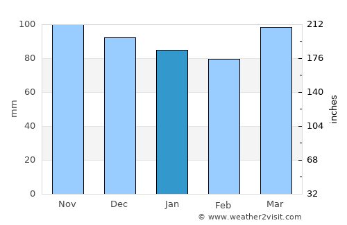 Bensonhurst average rain in January