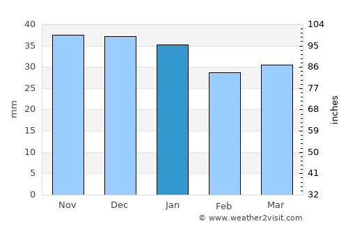 Bereni average rain in January