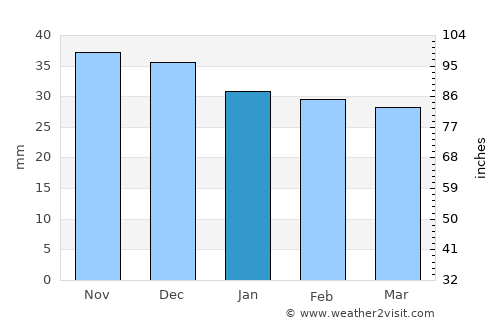 Berghin average rain in January