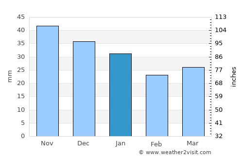 Bergset average rain in January