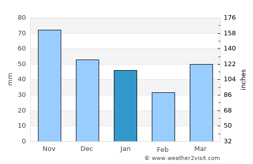 Bessemer average rain in January