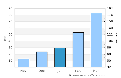 Bezerros average rain in January