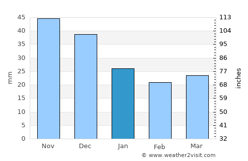 Bezhetsk average rain in January