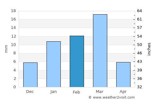 Bhatinda average rain in February