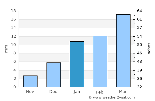 Bhatinda average rain in January