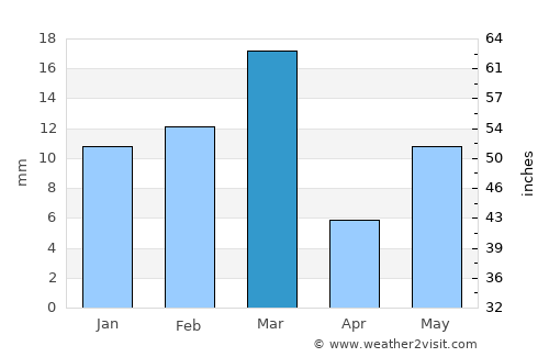 Bhatinda average rain in March