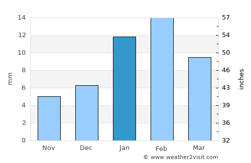 Bhiwadi average rain in January