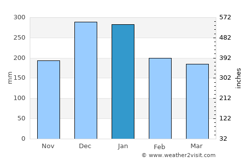 Bicas average rain in January