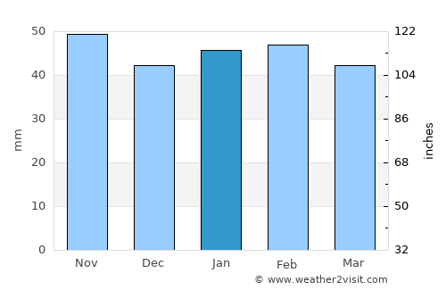 Big Pine Key average rain in January