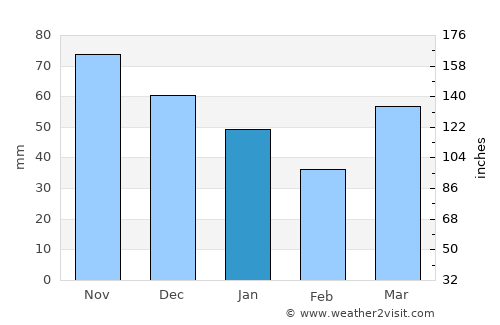 Big Rapids average rain in January