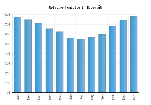 Bigadiç relative humidity averages