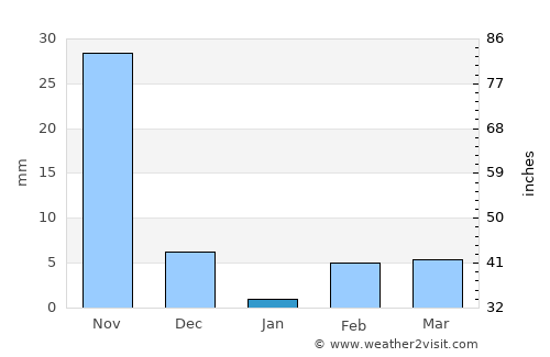 Bijapur average rain in January