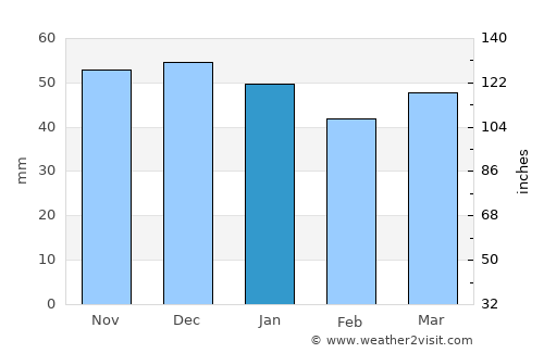 Bingham average rain in January