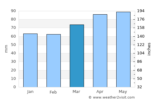 Binghamton average rain in March