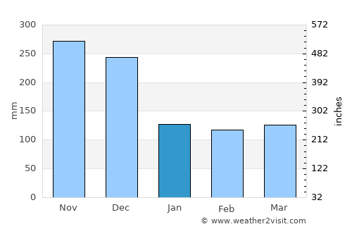 Binjai average rain in January