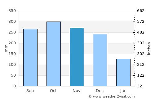 Binjai average rain in November