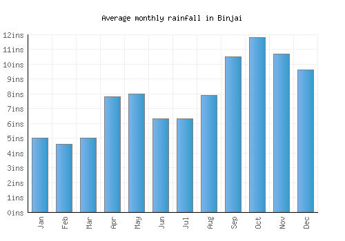 Binjai monthly rainfall chart (inches)