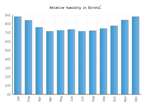 Birchiş relative humidity averages