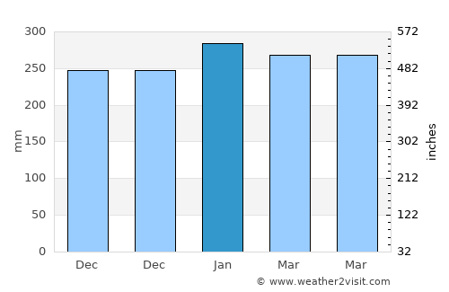 Birempa average rain in January