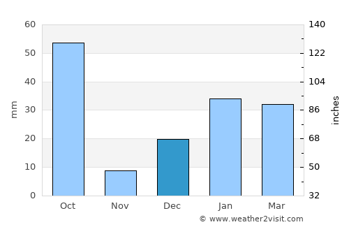 Birendranagar average rain in December