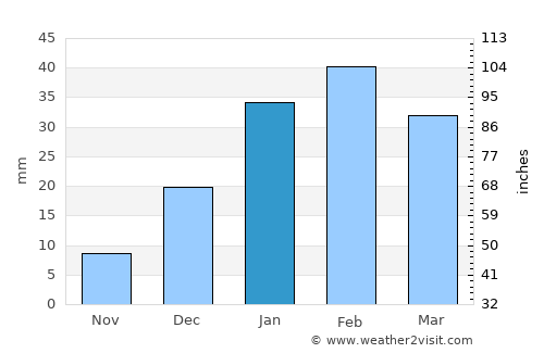 Birendranagar average rain in January