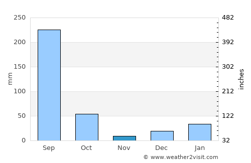 Birendranagar average rain in November