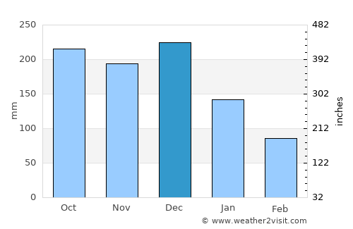 Bireun average rain in December