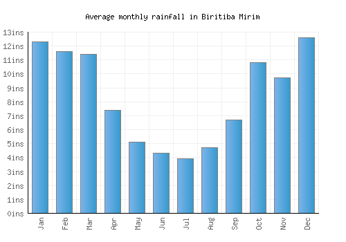 Biritiba Mirim monthly rainfall chart (inches)