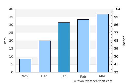 Bīrjand average rain in January