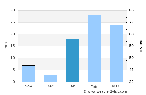 Birmitrapur average rain in January