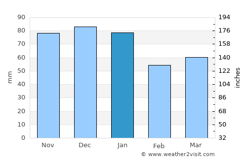 Birr average rain in January