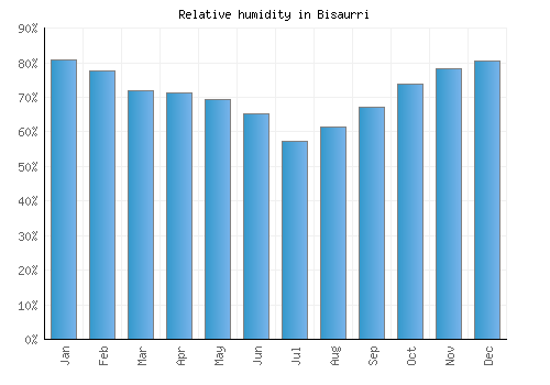Bisaurri relative humidity averages