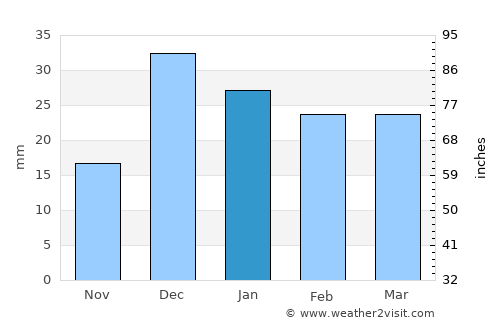 Bisbee average rain in January