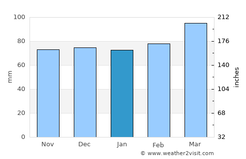 Blacksburg average rain in January