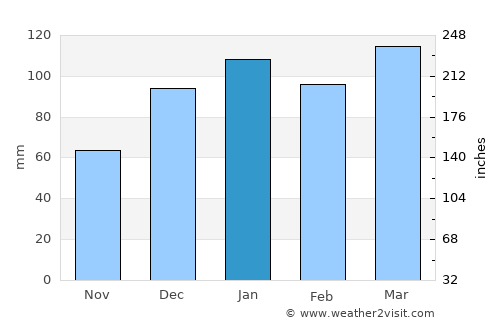 Blackshear average rain in January